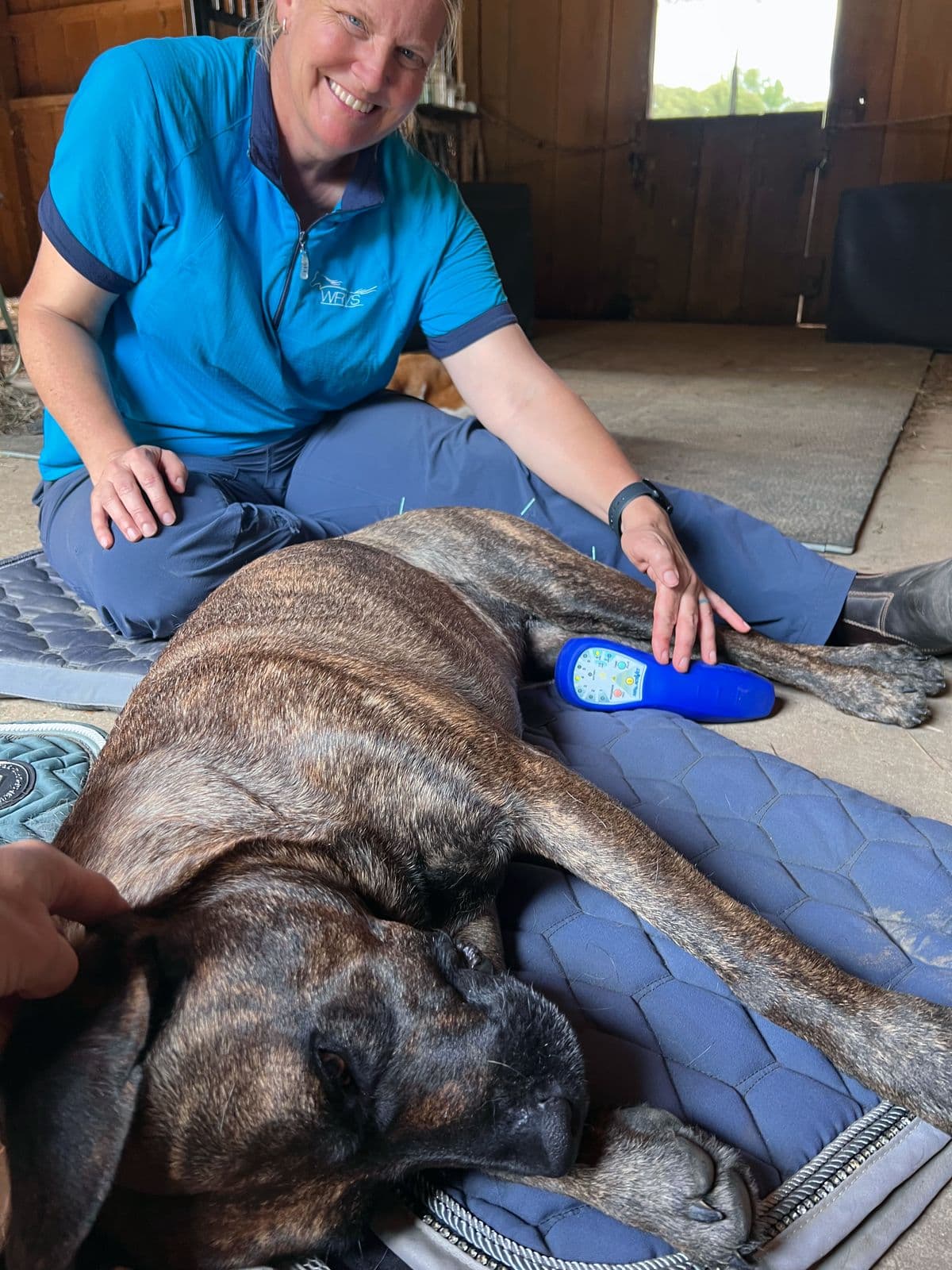 Small Animal Acupuncture